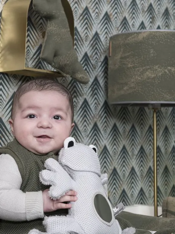 Baby´s Only - aktiviteettilelu peilillä sammakko, rosa