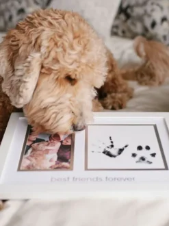 Best Friends Forever -kehys – Lapsi & Lemmikki