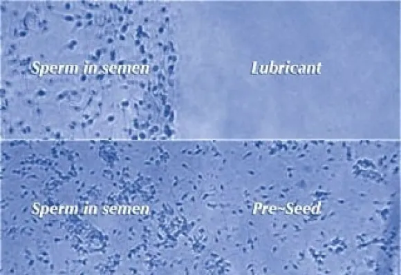 PRESEED siittiöystävällinen liukuvoide