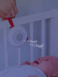 Zazu Suzy kohinalaite vauvalle – valkoinen kohina ja rauhoittavat äänet